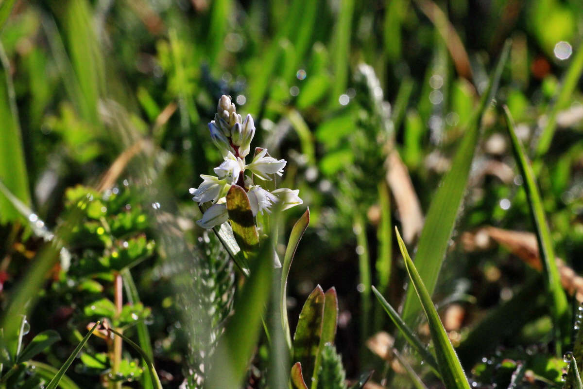 2015_04_29_00017977p_Bildgr��e �ndern