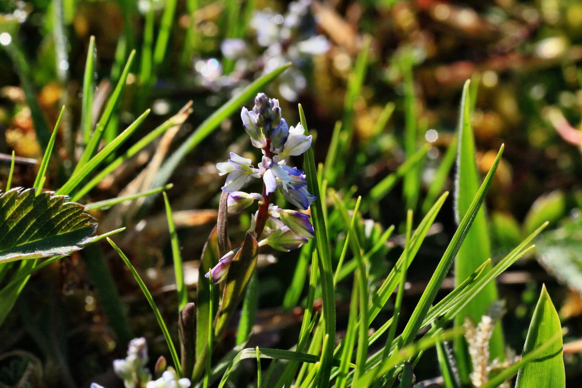 2015_04_29_00017981p_Bildgr��e �ndern