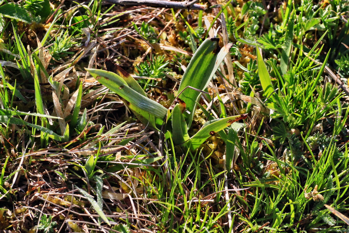 2015_04_29_00017983p_Bildgr��e �ndern