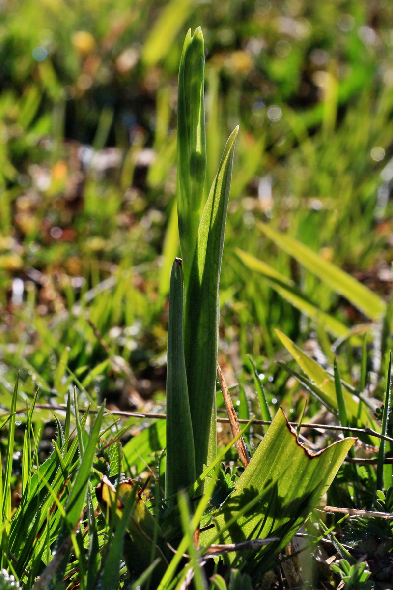 2015_04_29_00017985p_Bildgr��e �ndern