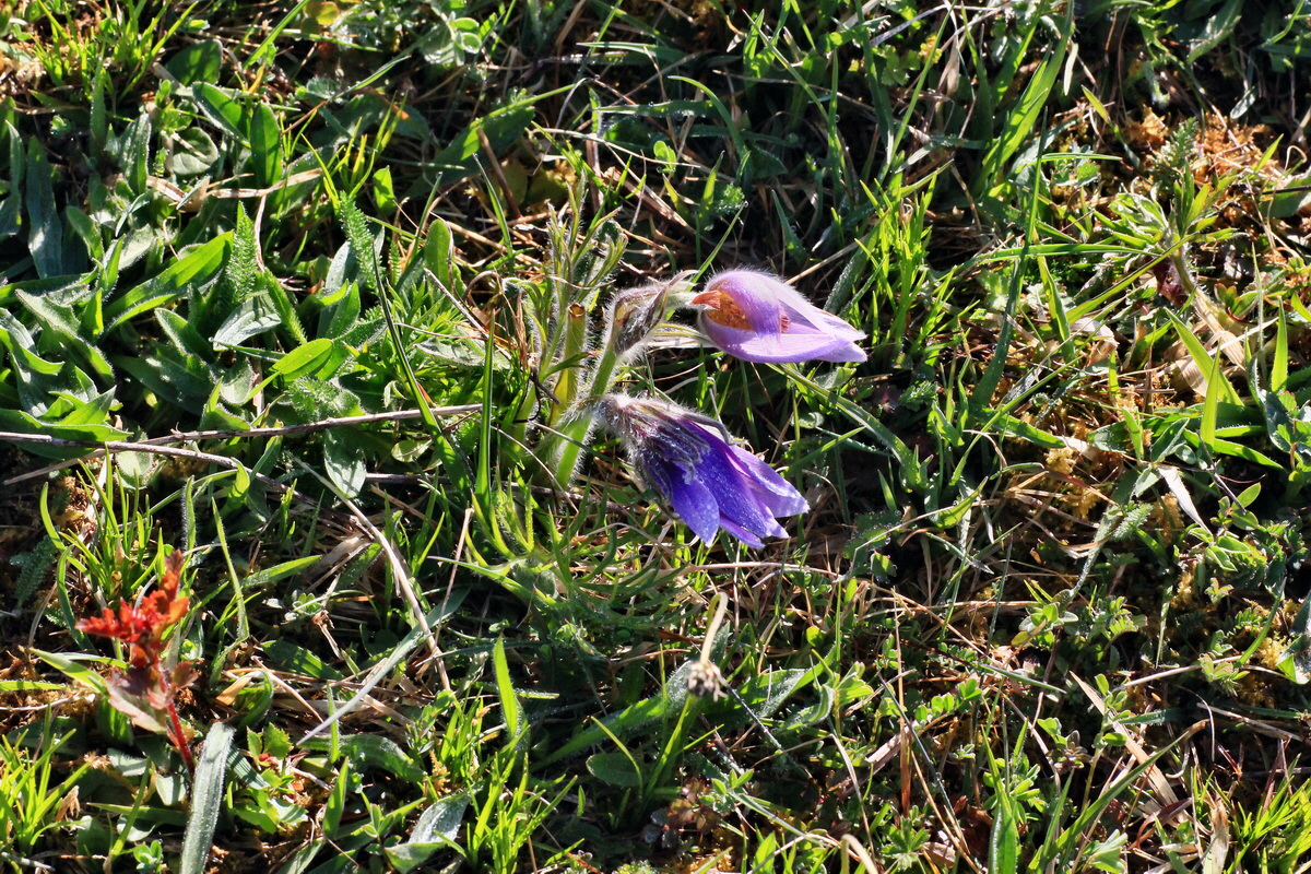 2015_04_29_00017988p_Bildgr��e �ndern