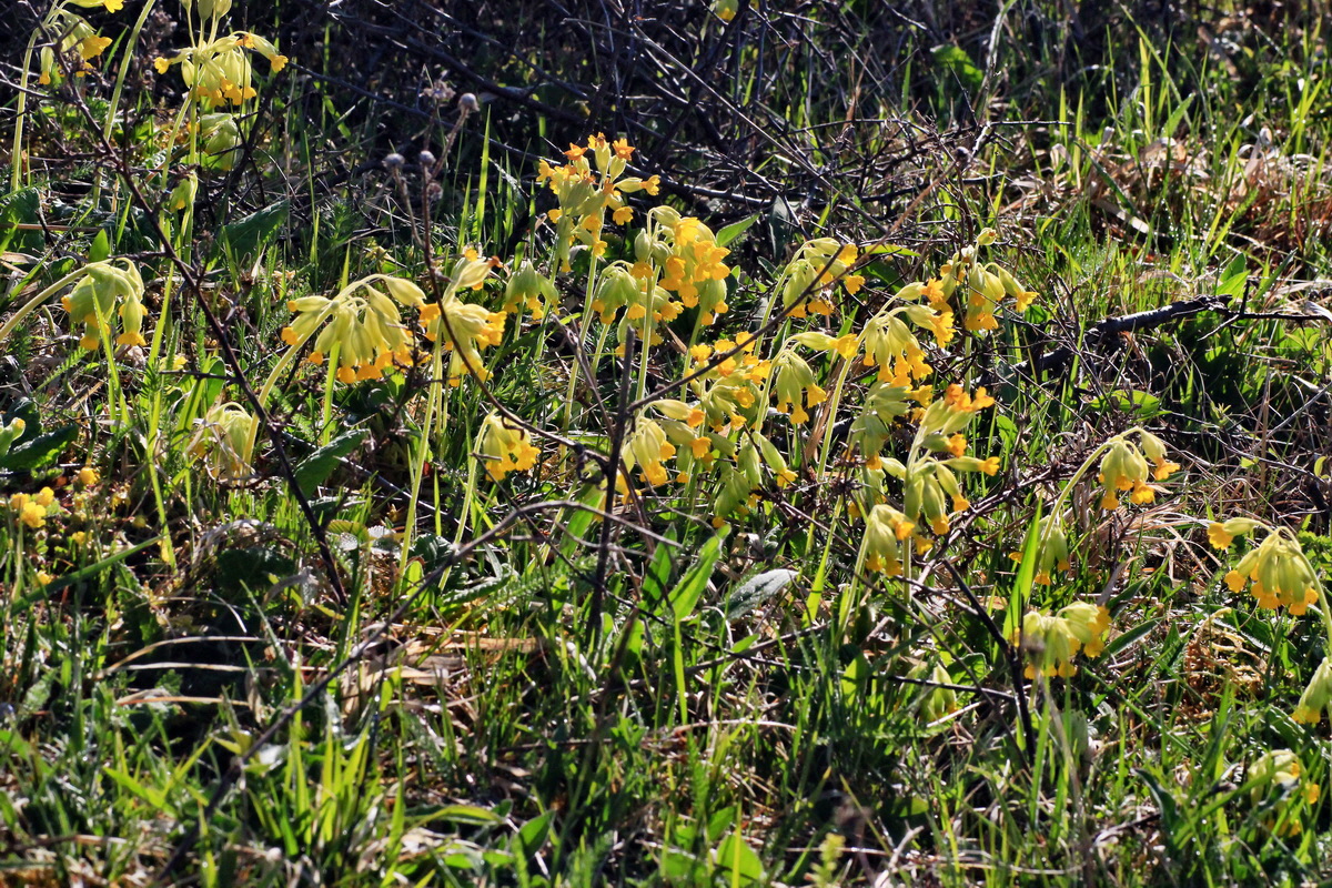 2015_04_29_00017992p_Bildgr��e �ndern