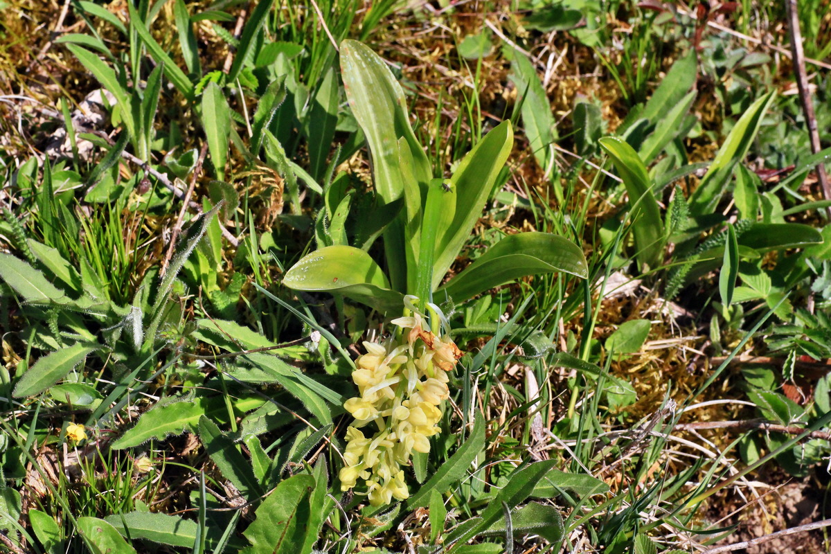 2015_04_29_00017995p_Bildgr��e �ndern