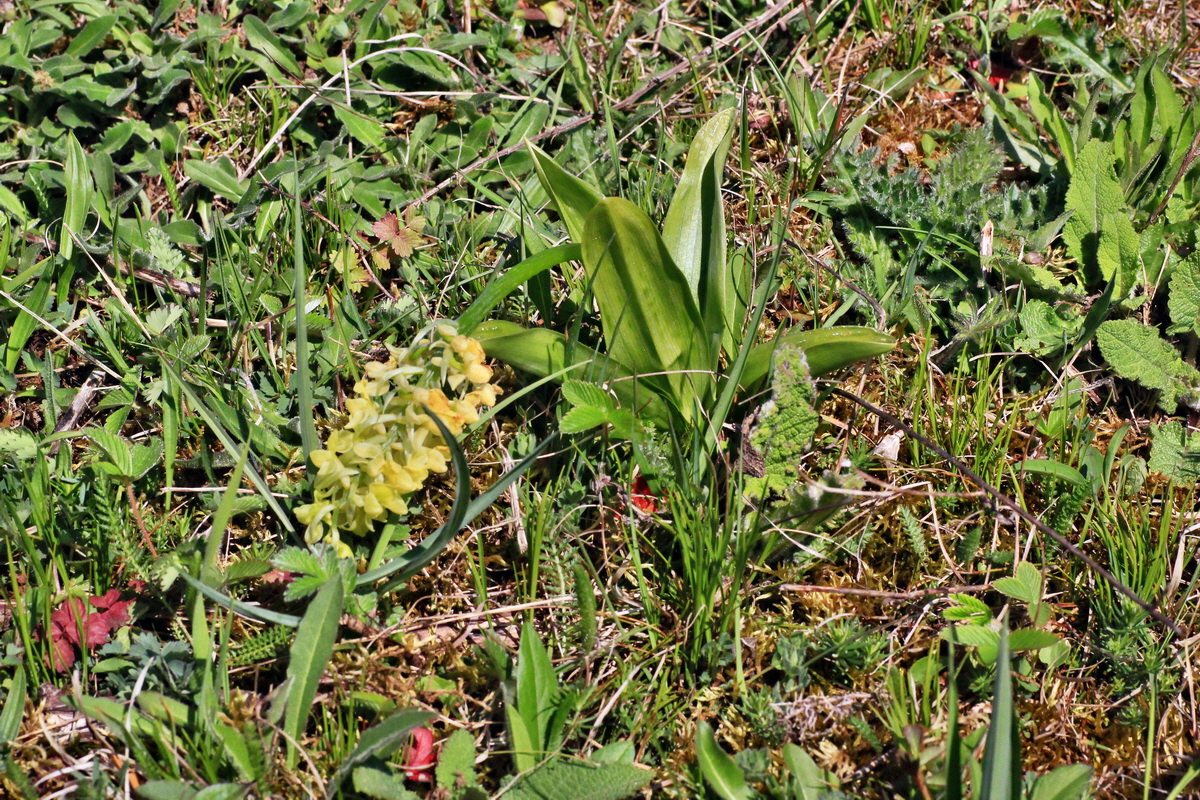 2015_04_29_00017997p_Bildgr��e �ndern