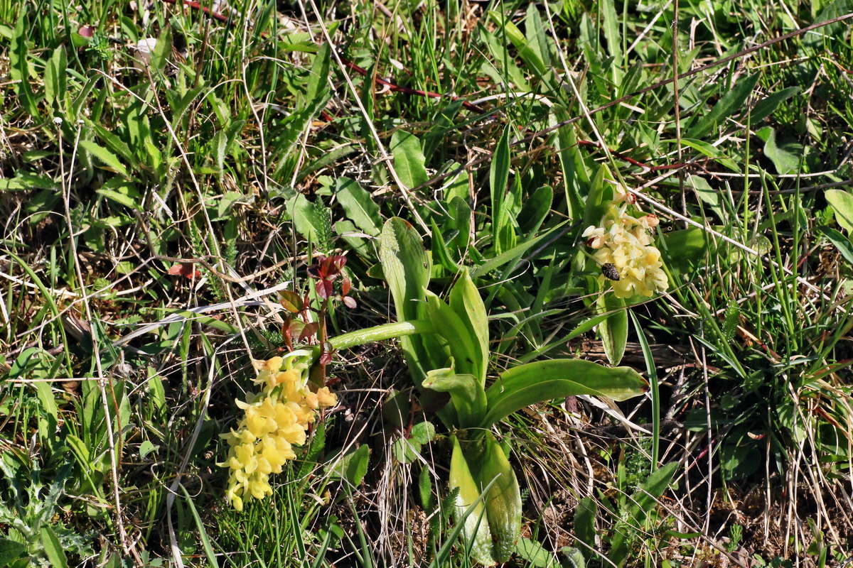 2015_04_29_00018000p_Bildgr��e �ndern