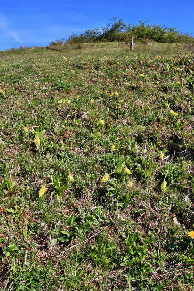 2015_04_29_00018009p_Bildgr��e �ndern