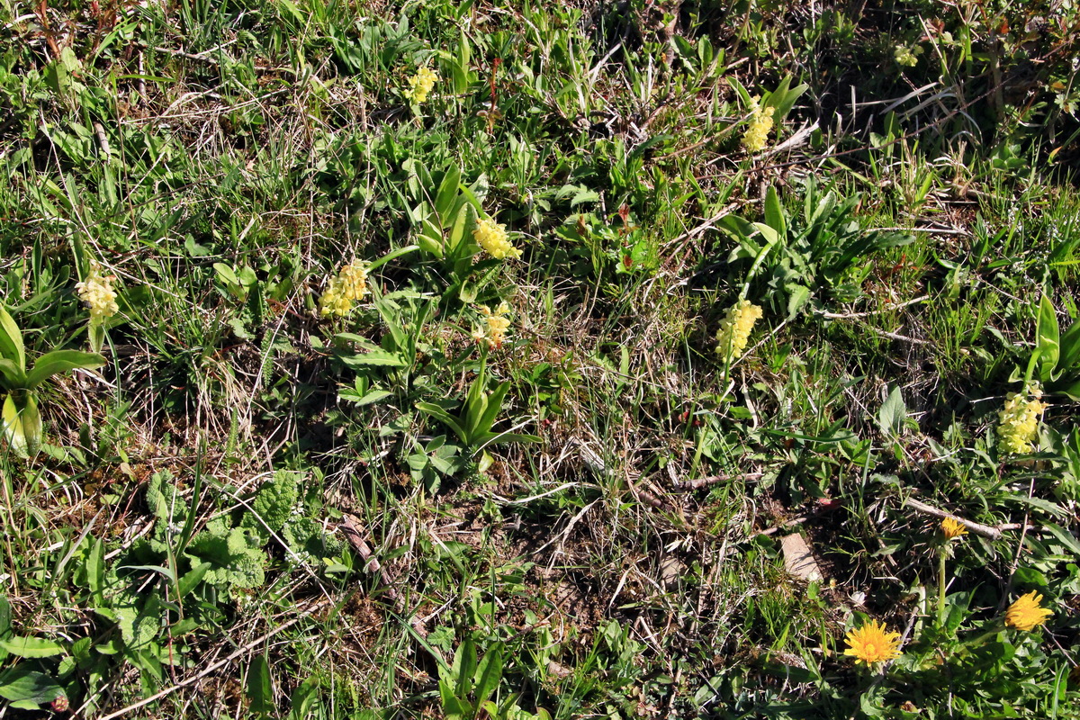 2015_04_29_00018013p_Bildgr��e �ndern