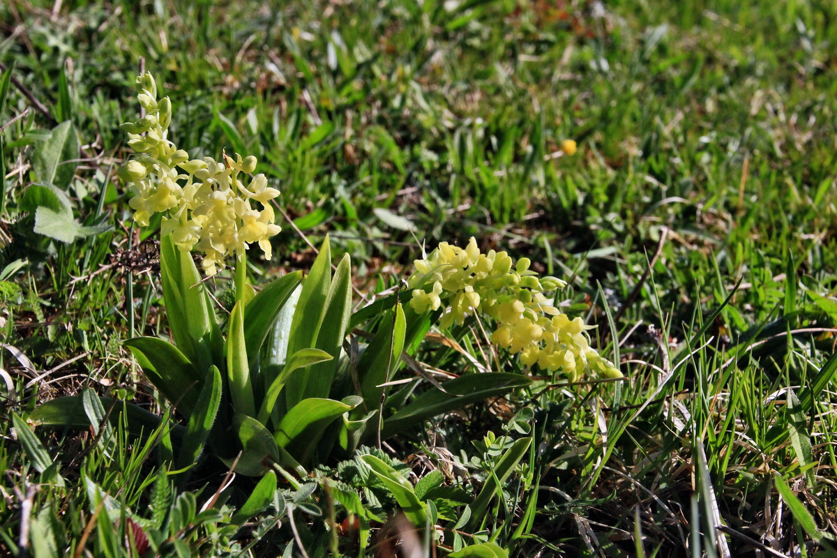 2015_04_29_00018015p_Bildgr��e �ndern