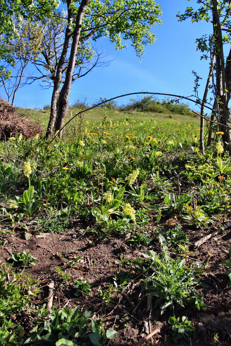 2015_04_29_00018021p_Bildgr��e �ndern