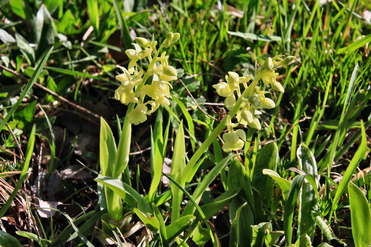 2015_04_29_00018028p_Bildgr��e �ndern