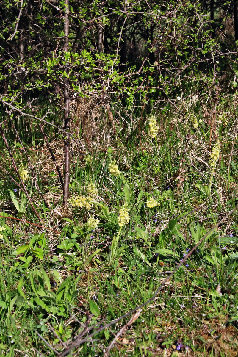 2015_04_29_00018038p_Bildgr��e �ndern