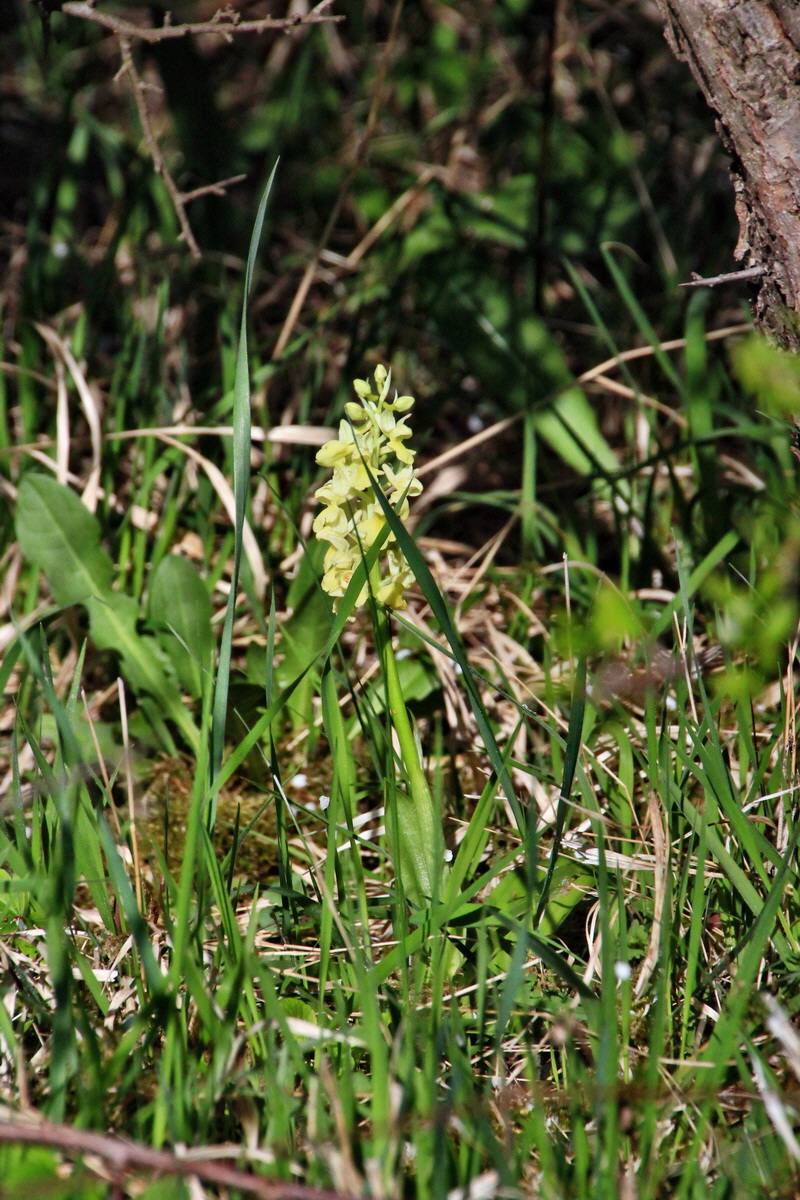 2015_04_29_00018045p_Bildgr��e �ndern