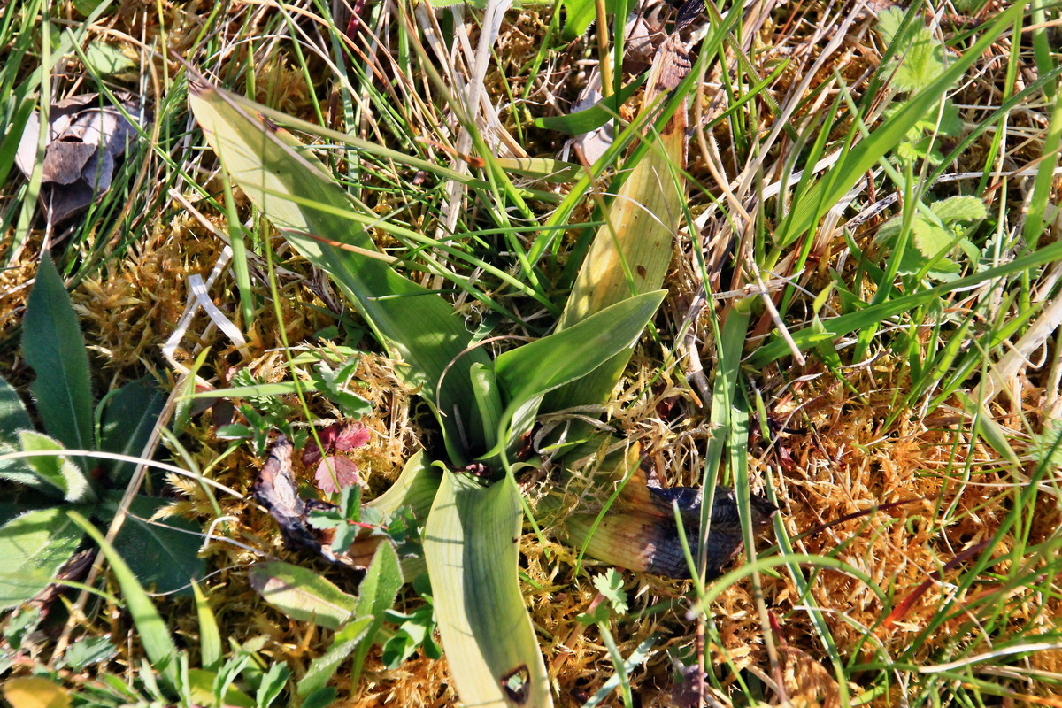 2015_04_29_00018055p_Bildgr��e �ndern