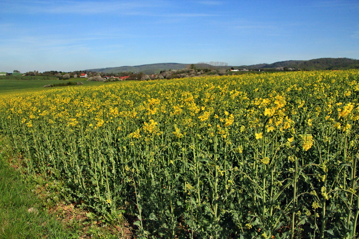 2015_04_29_00018060p_Bildgr��e �ndern