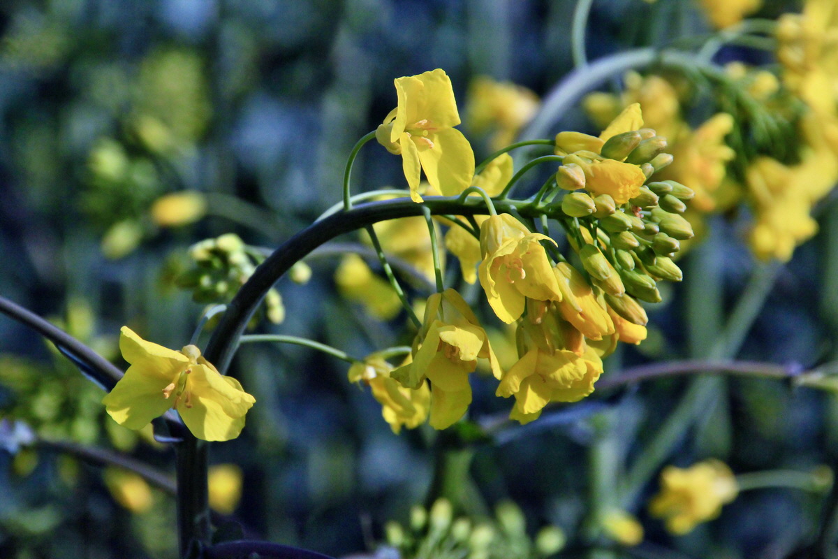 2015_04_29_00018062p_Bildgr��e �ndern