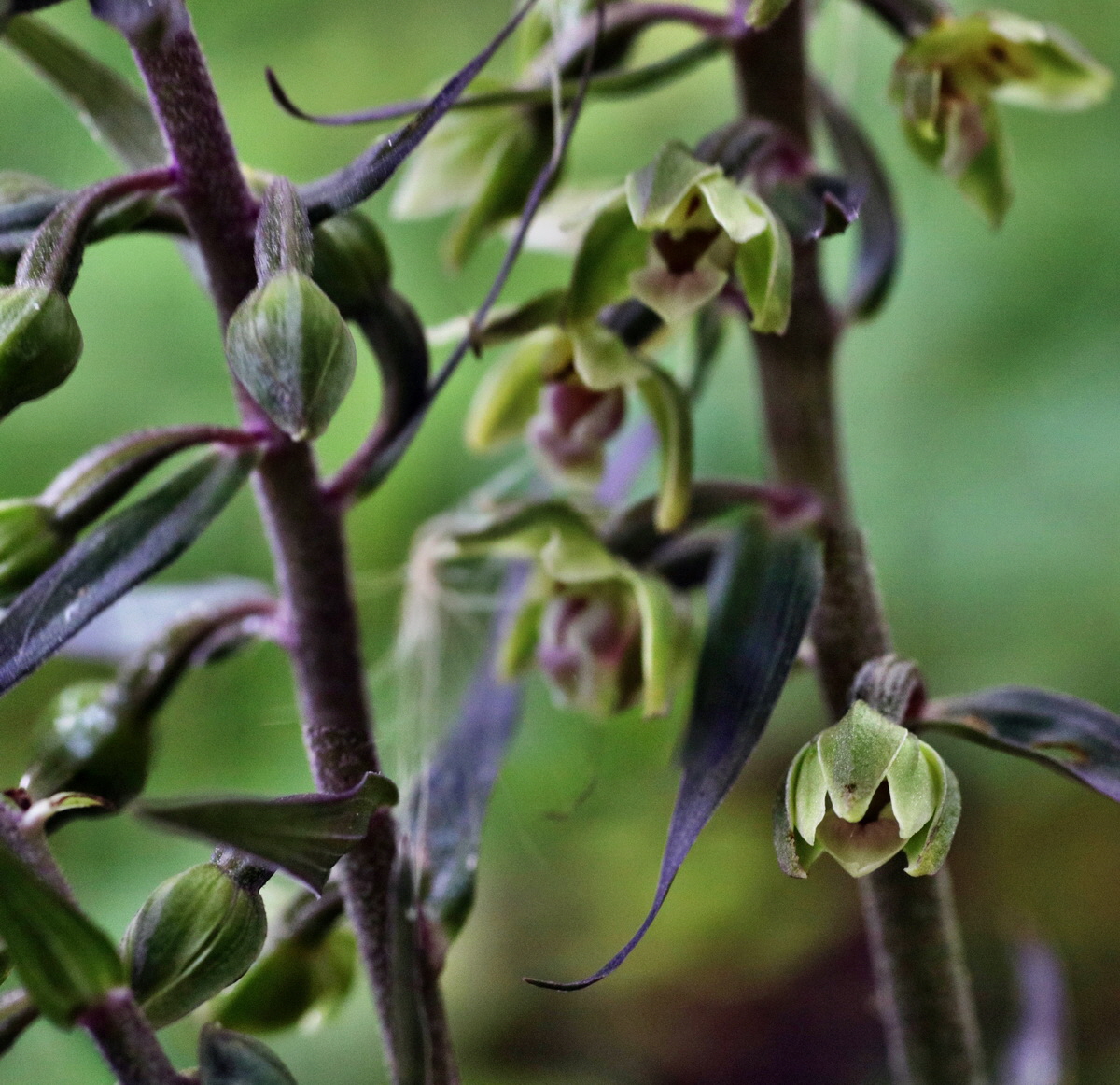 [Group 1]-IMG-2015-08-05-00007223_IMG-2015-08-05-00007225-2 imagesp_Bildgr��e �ndern