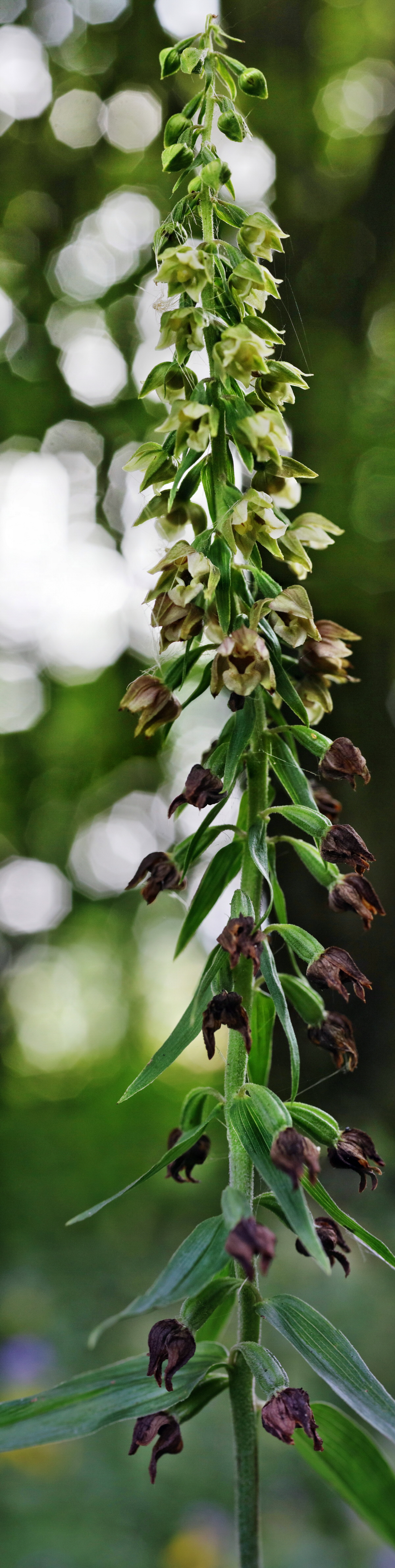 [Group 1]-IMG-2015-08-05-00007227_IMG-2015-08-05-00007244-8 imagesp_Bildgr��e �ndern