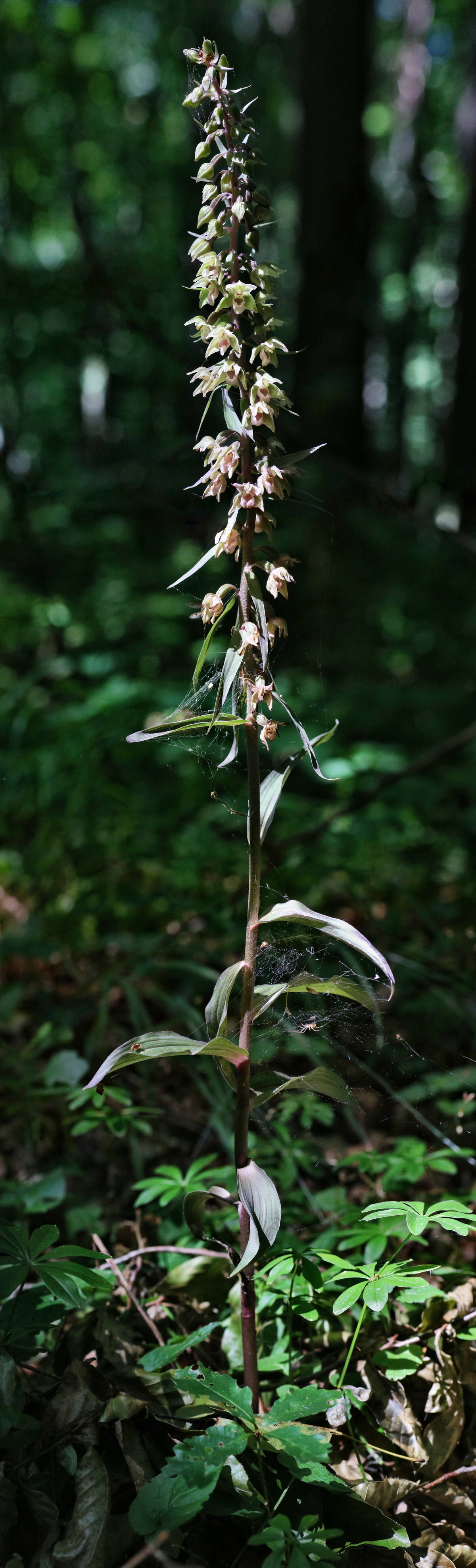 [Group 3]-IMG-2015-08-05-00007301_IMG-2015-08-05-00007317-17 imagesp_Bildgr��e �ndern