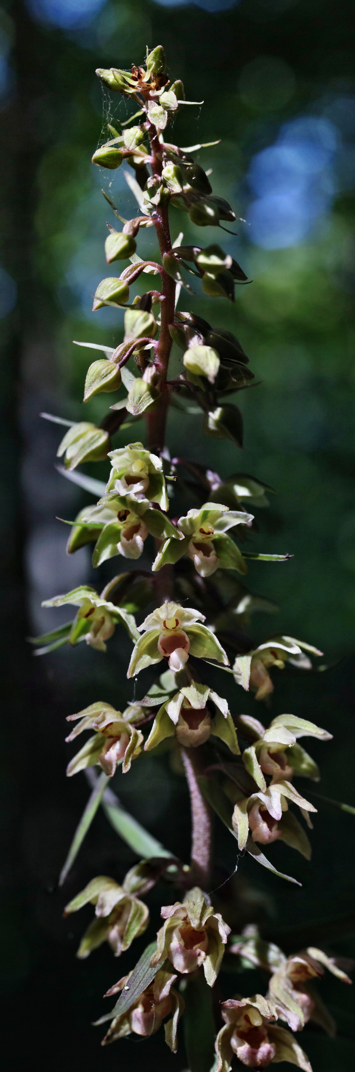 [Group 3]-IMG-2015-08-05-00007323_IMG-2015-08-05-00007334-6 imagesp_Bildgr��e �ndern