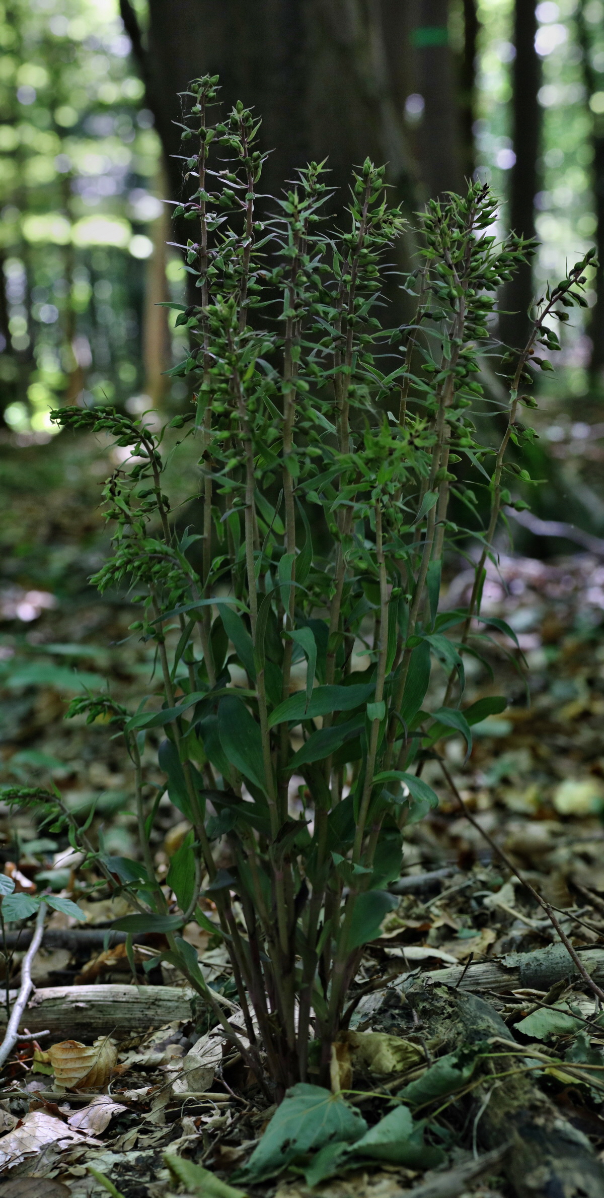 [Group 3]-IMG-2015-08-05-00007338_IMG-2015-08-05-00007351-4 imagesp_Bildgr��e �ndern