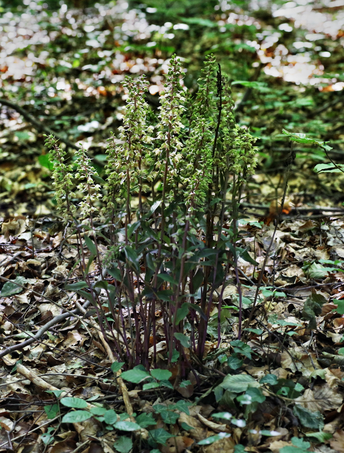 [Group 3]-IMG-2015-08-05-00007360_IMG-2015-08-05-00007373-3 imagesp_Bildgr��e �ndern