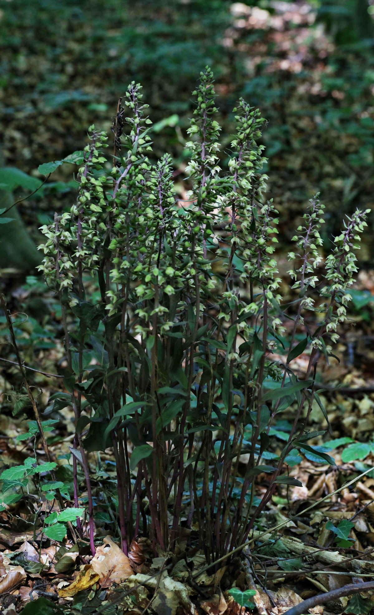 [Group 3]-IMG-2015-08-05-00007379_IMG-2015-08-05-00007392-3 imagesp_Bildgr��e �ndern