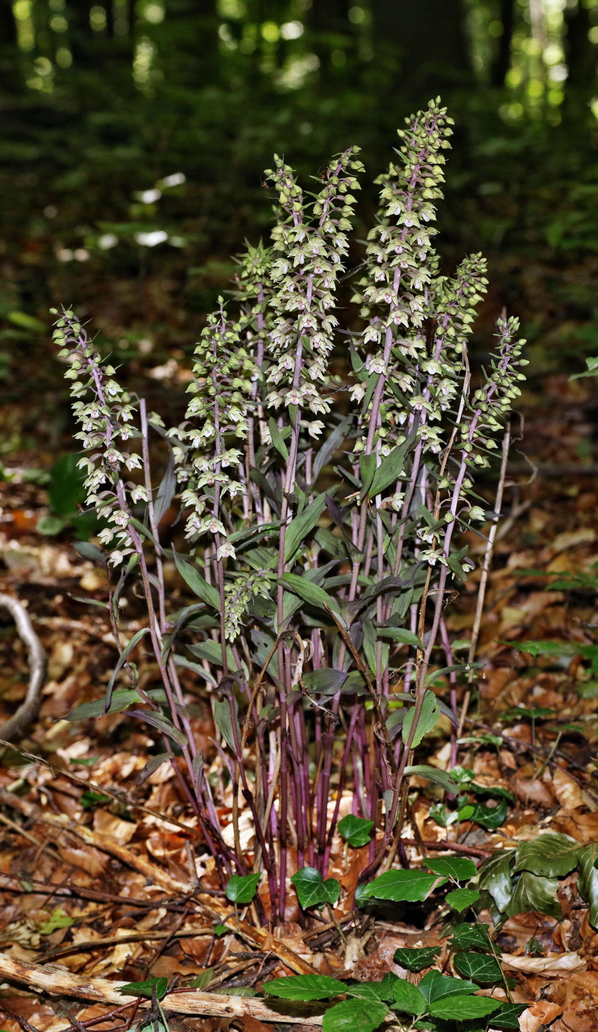 [Group 3]-IMG-2015-08-05-00007399_IMG-2015-08-05-00007405-3 imagesp_Bildgr��e �ndern