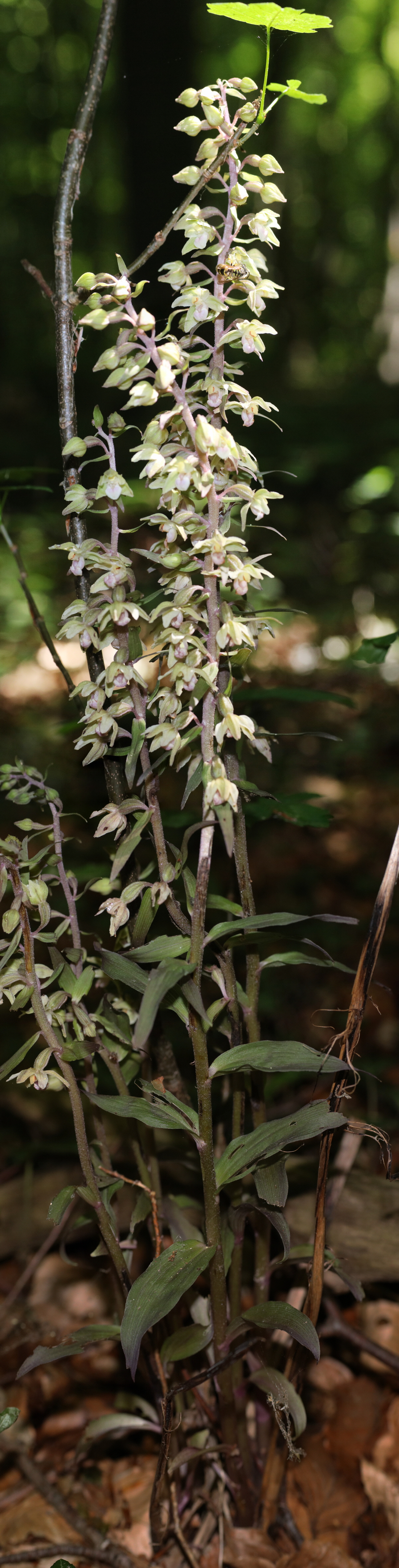 [Group 3]-IMG-2015-08-05-00007406_IMG-2015-08-05-00007414-8 images11