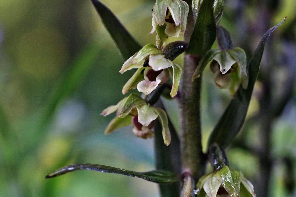 IMG-2015-08-05-00007202p_Bildgr��e �ndern