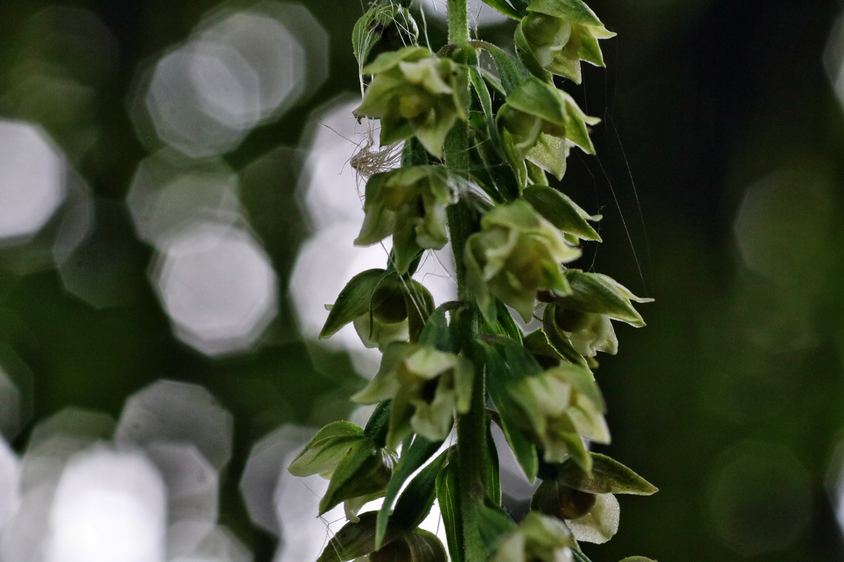 IMG-2015-08-05-00007240p_Bildgr��e �ndern