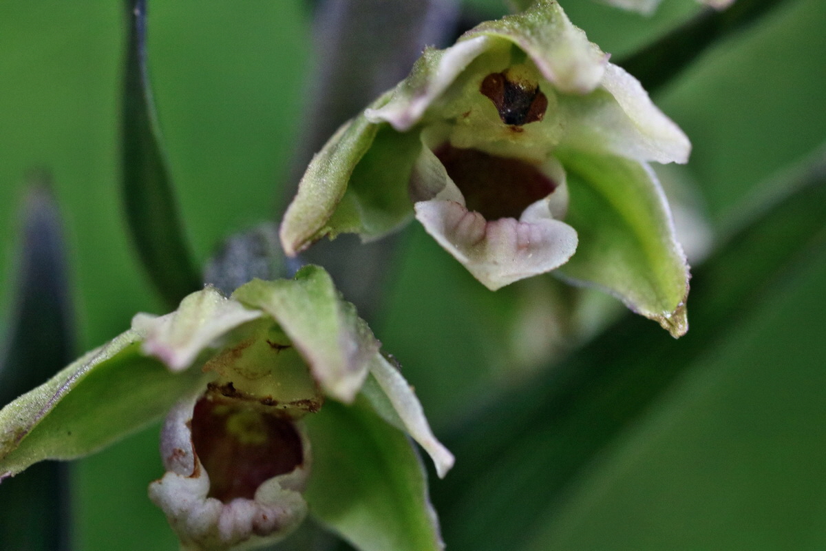 IMG-2015-08-05-00007253p_Bildgr��e �ndern