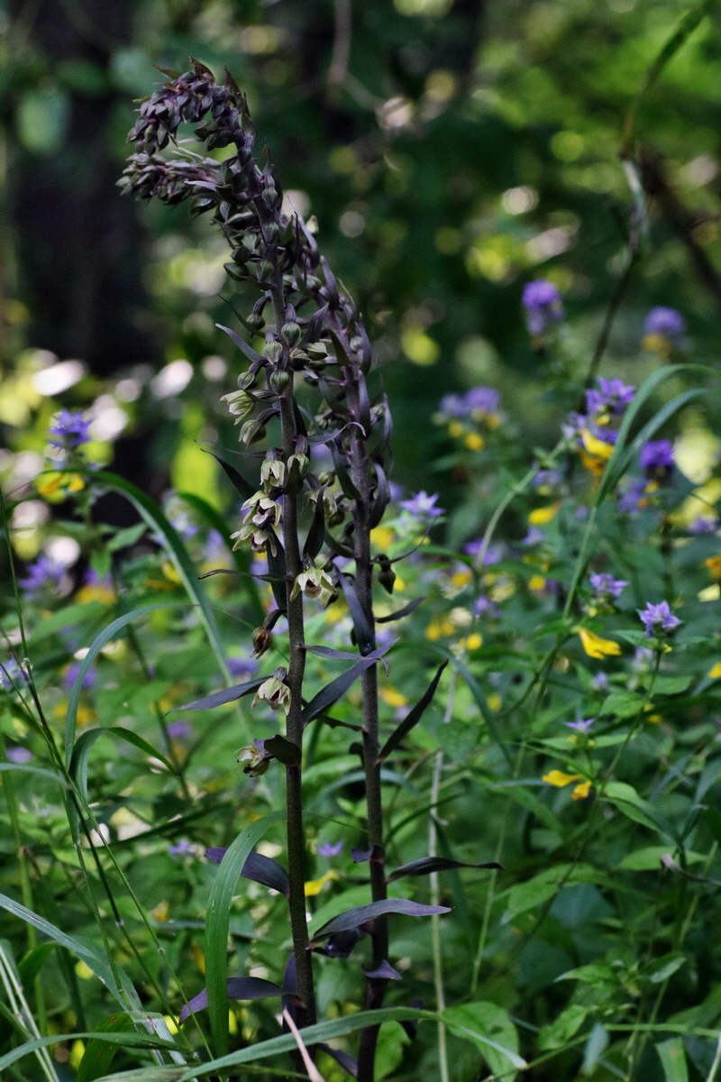 IMG-2015-08-05-00007265p_Bildgr��e �ndern