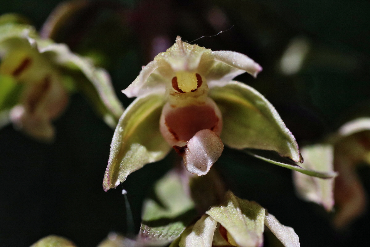 IMG-2015-08-05-00007319p_Bildgr��e �ndern