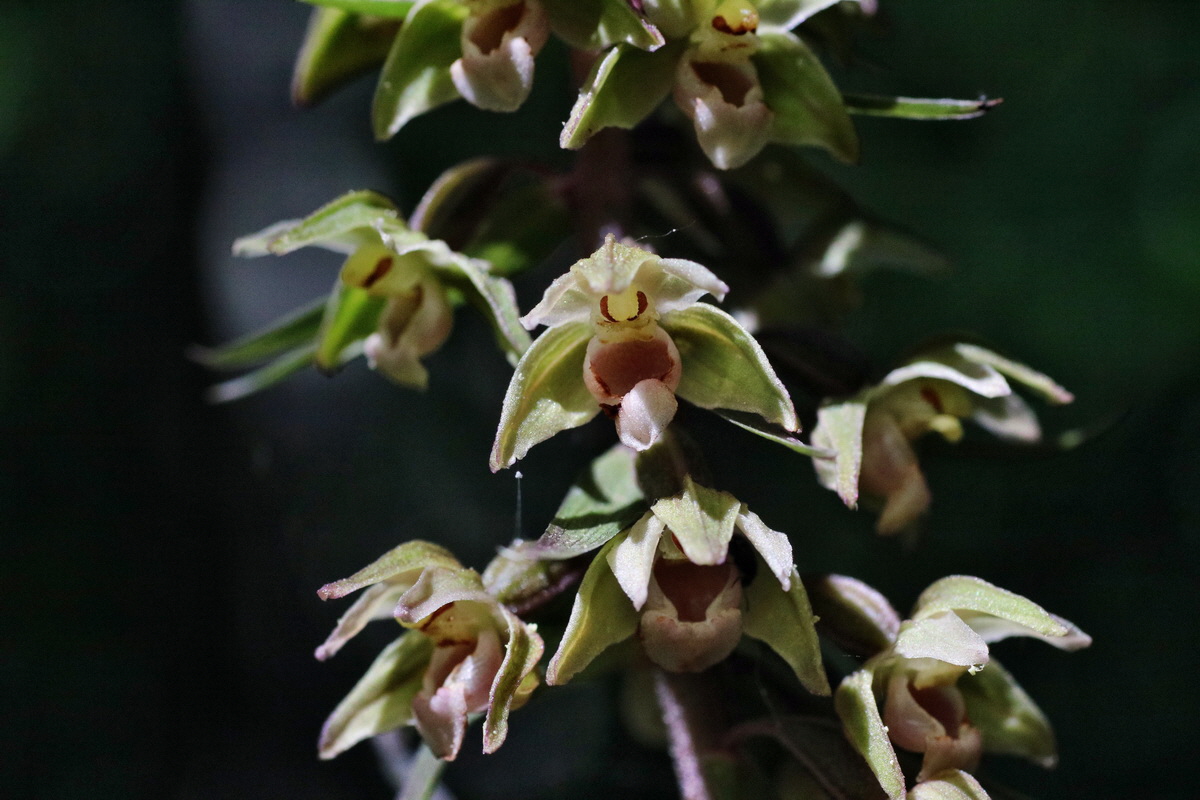 IMG-2015-08-05-00007331p_Bildgr��e �ndern