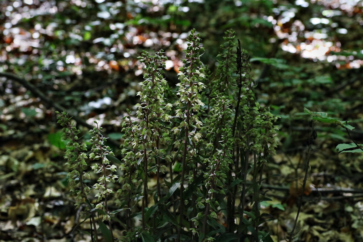 IMG-2015-08-05-00007370p_Bildgr��e �ndern