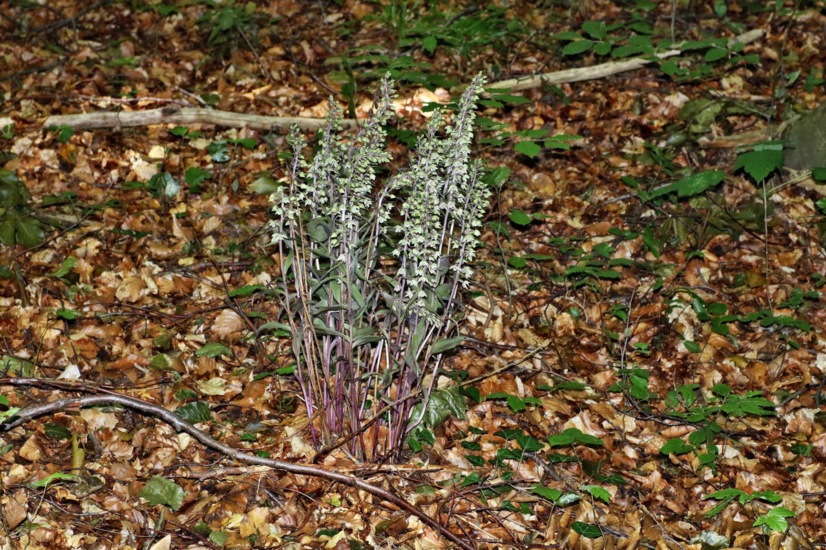 IMG-2015-08-05-00007415p_Bildgr��e �ndern