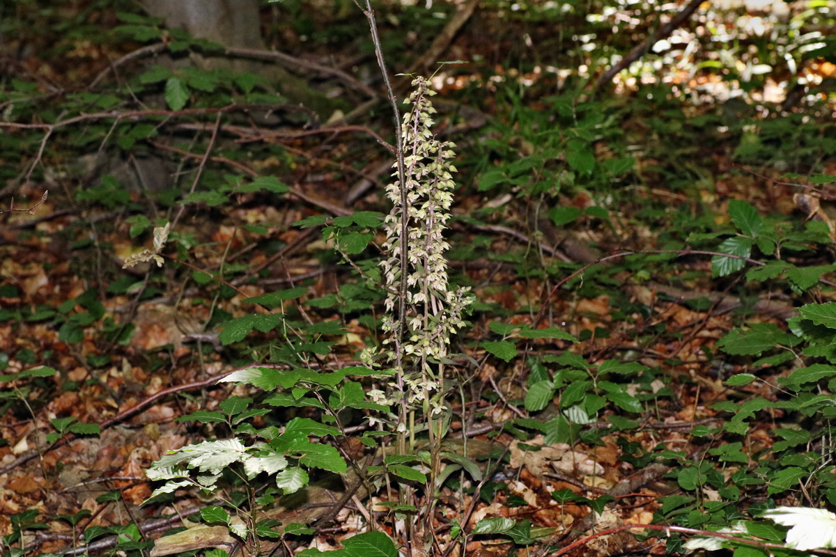 IMG-2015-08-05-00007416p_Bildgr��e �ndern