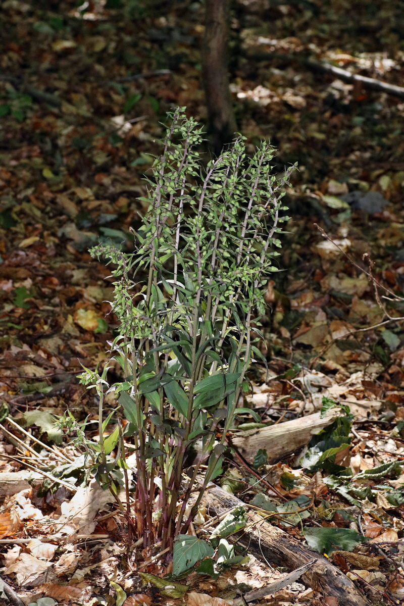 IMG-2015-08-05-00007419p_Bildgr��e �ndern