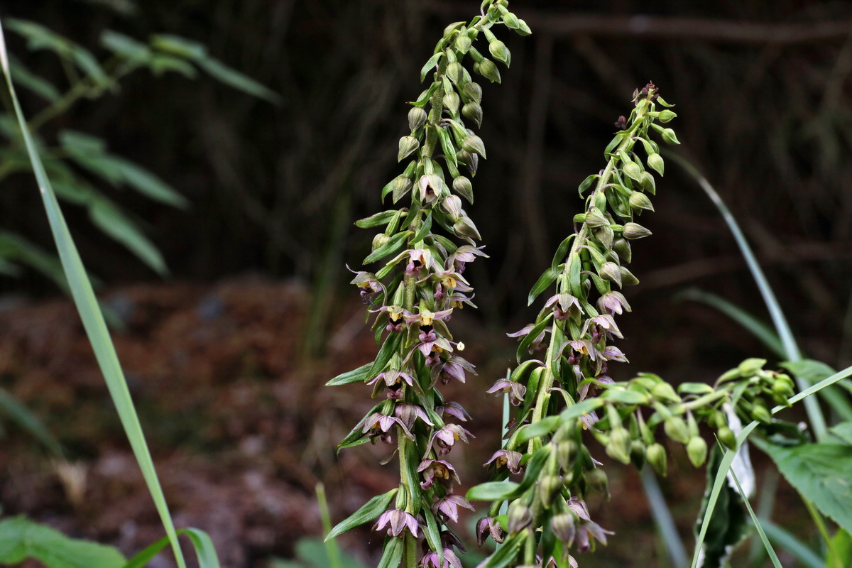 IMG-2015-08-07-00007447p_Bildgr��e �ndern