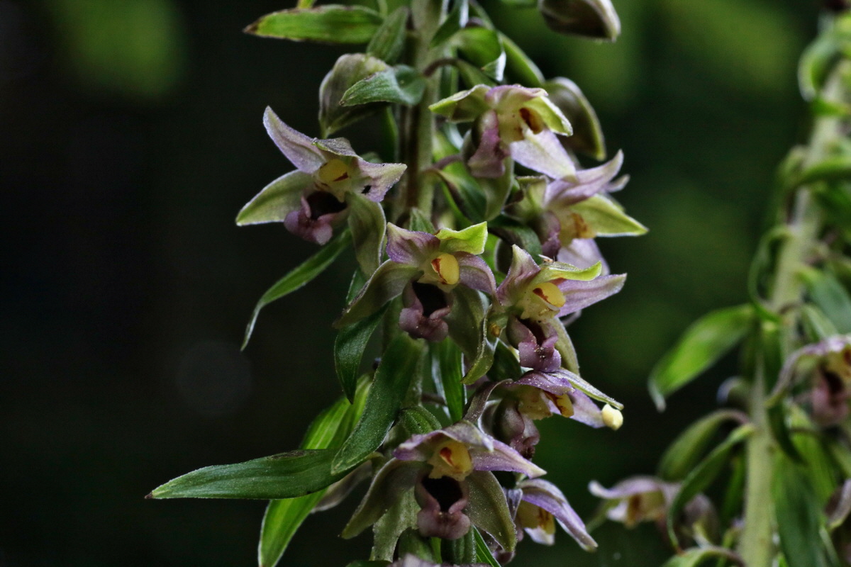 IMG-2015-08-07-00007462p_Bildgr��e �ndern