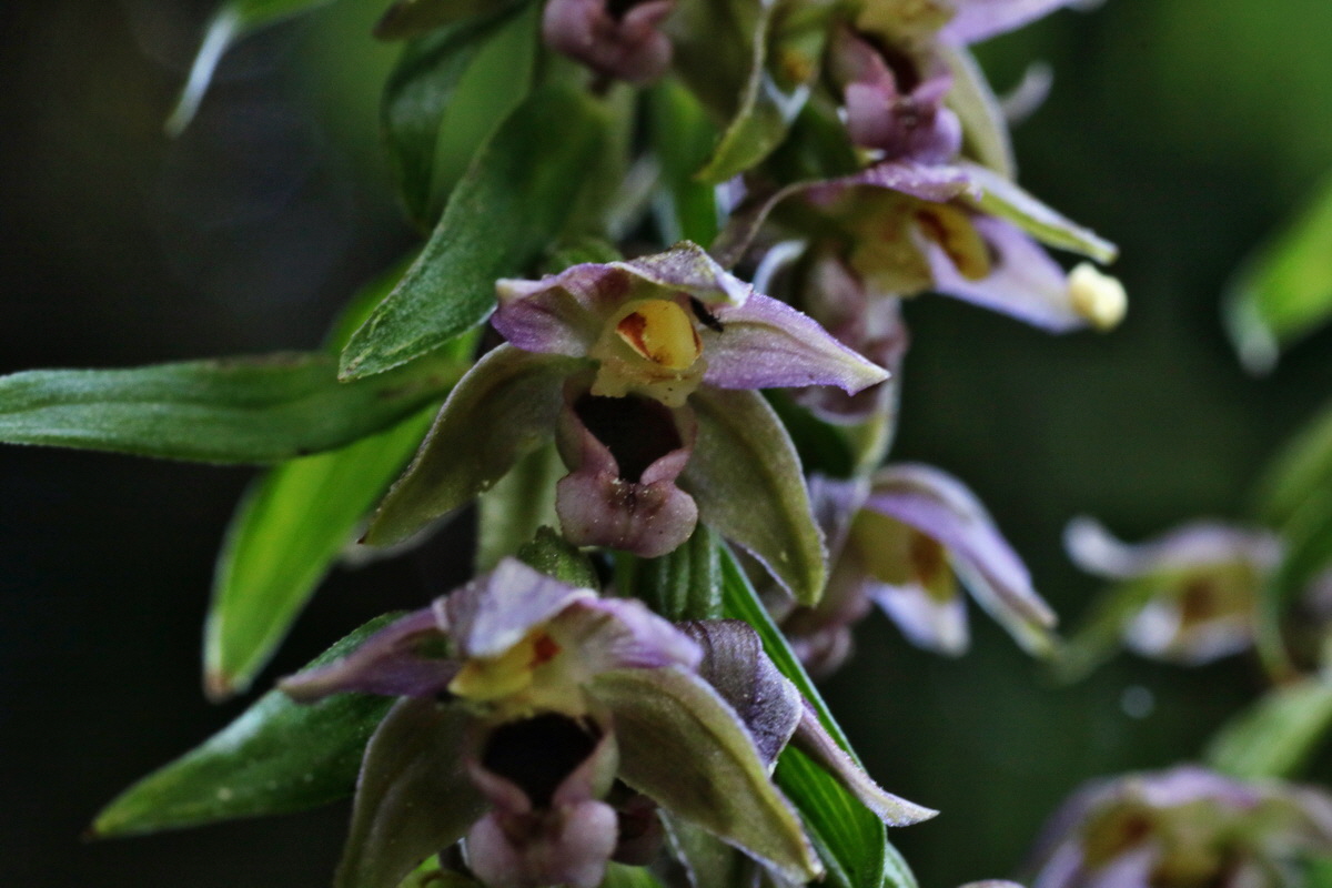 IMG-2015-08-07-00007470p_Bildgr��e �ndern