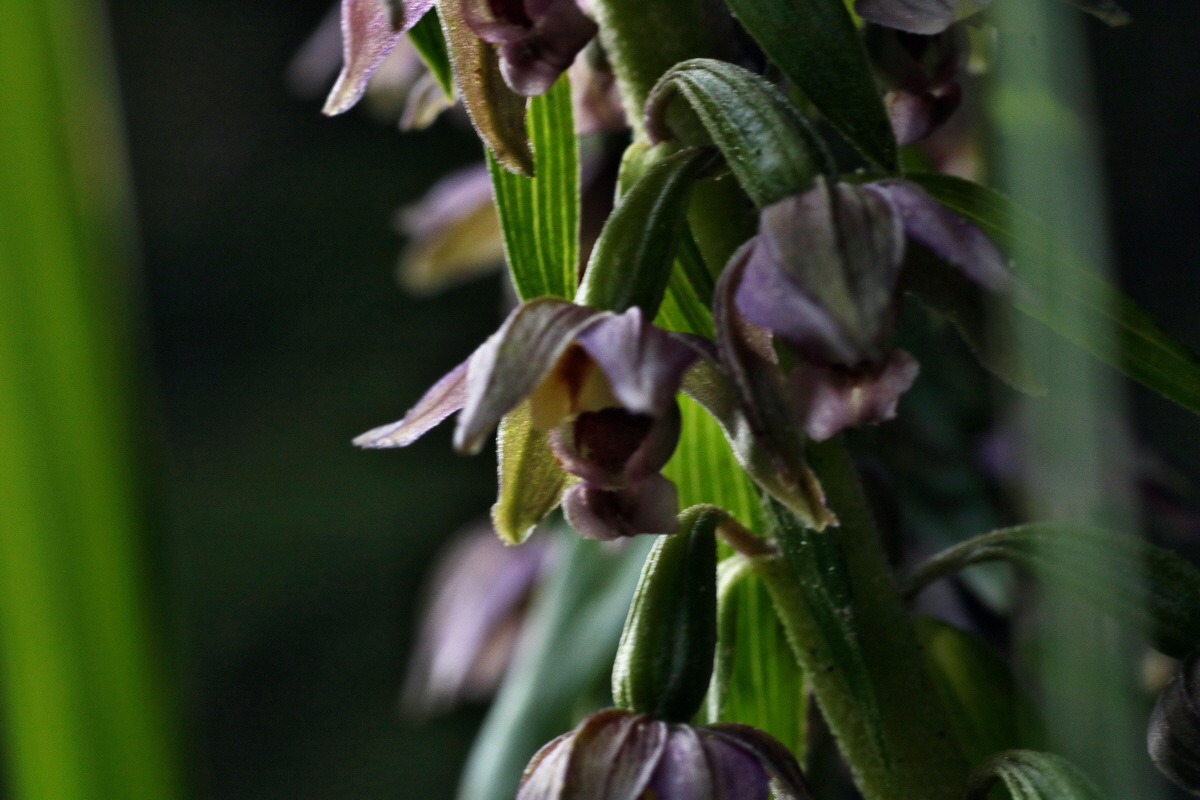 IMG-2015-08-07-00007477p_Bildgr��e �ndern