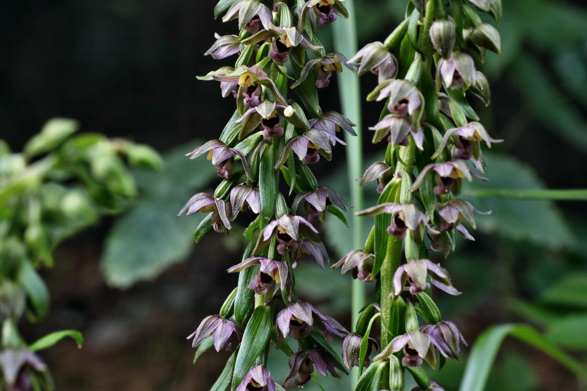 IMG-2015-08-07-00007485p_Bildgr��e �ndern