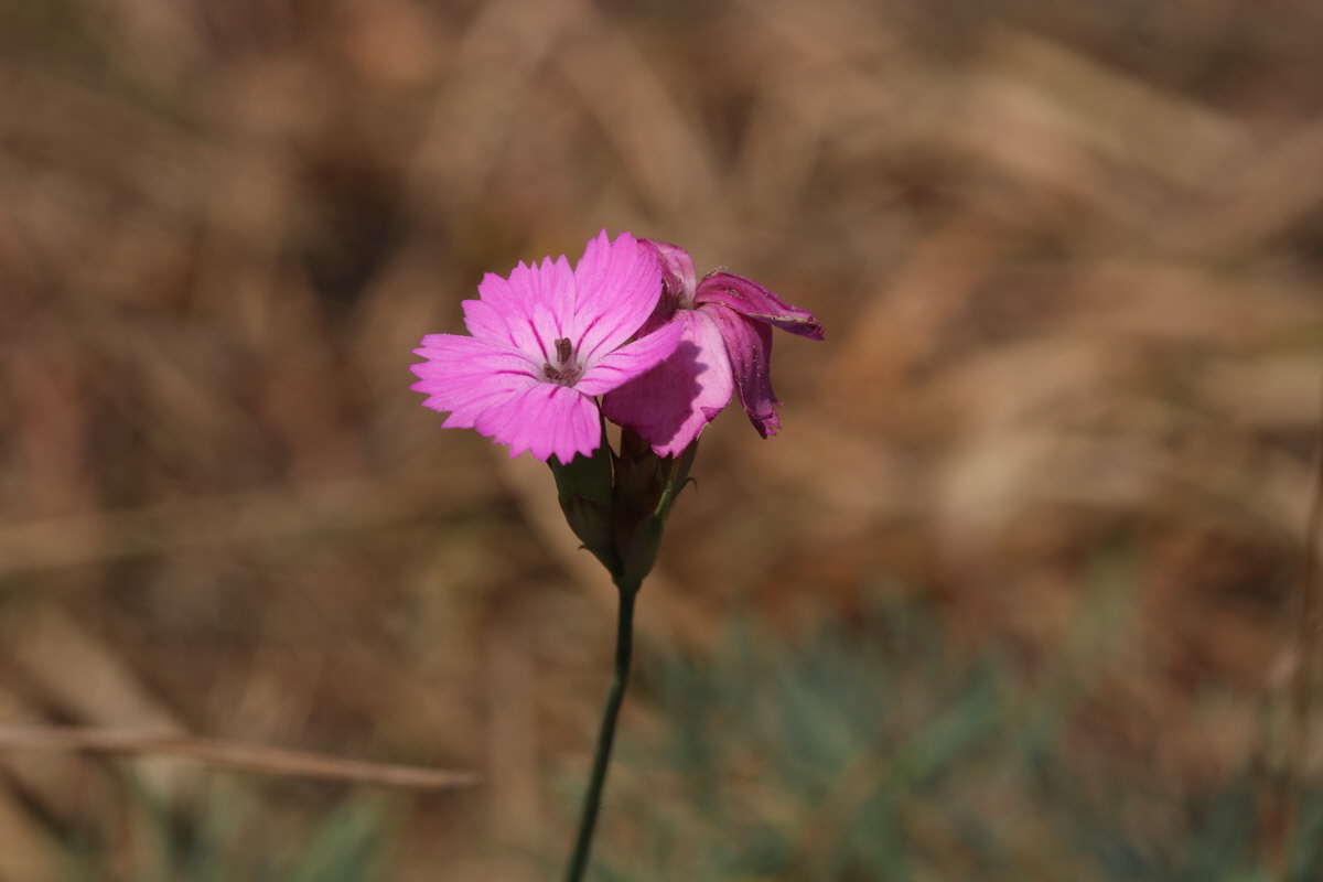 IMG-2015-08-10-00007491_Bildgr��e �ndern