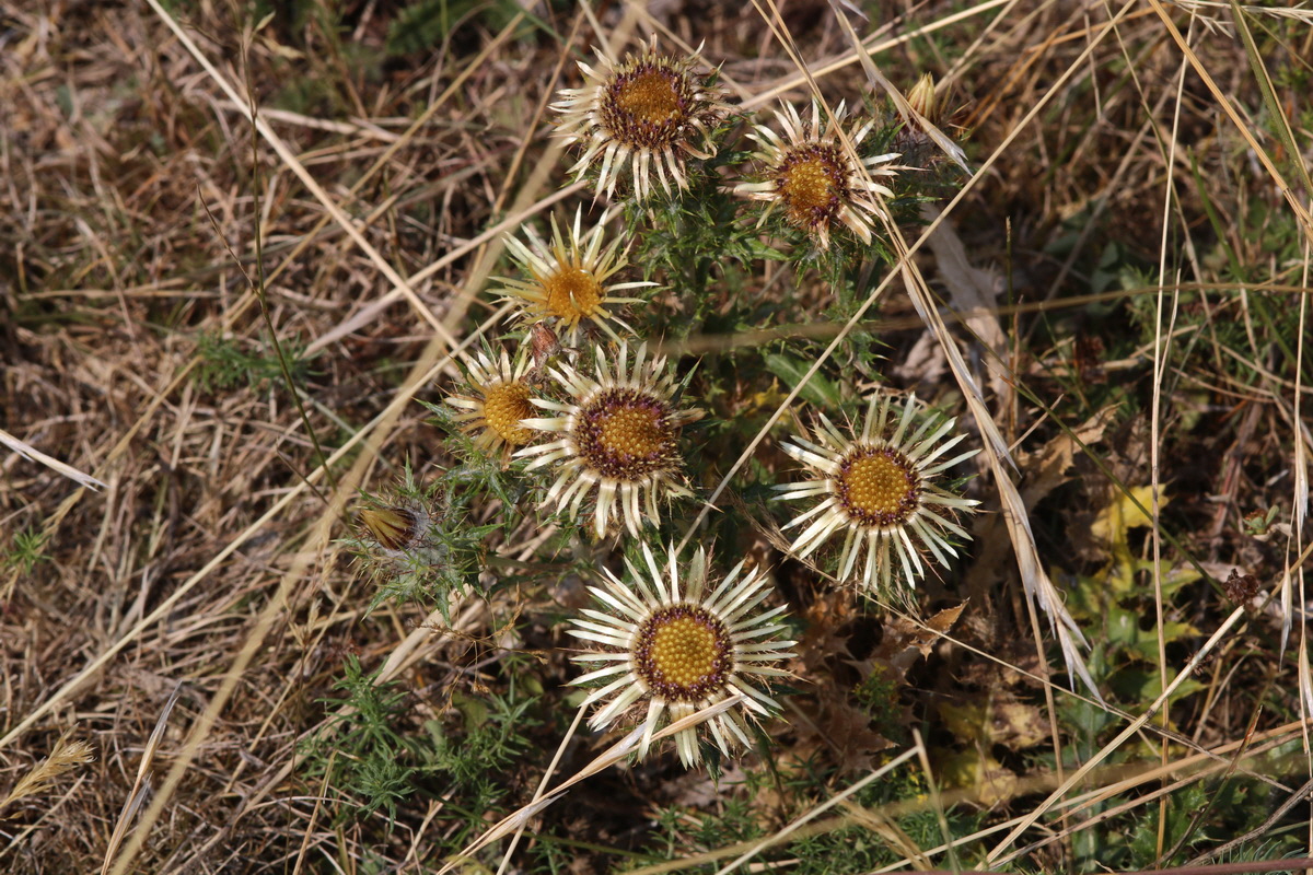 IMG-2015-08-10-00007494_Bildgr��e �ndern