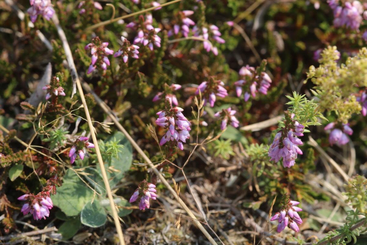 IMG-2015-08-10-00007499_Bildgr��e �ndern