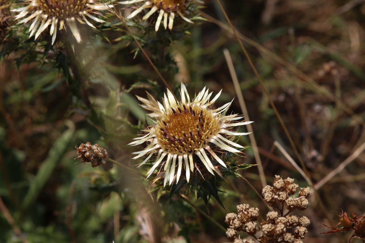 IMG-2015-08-10-00007500_Bildgr��e �ndern