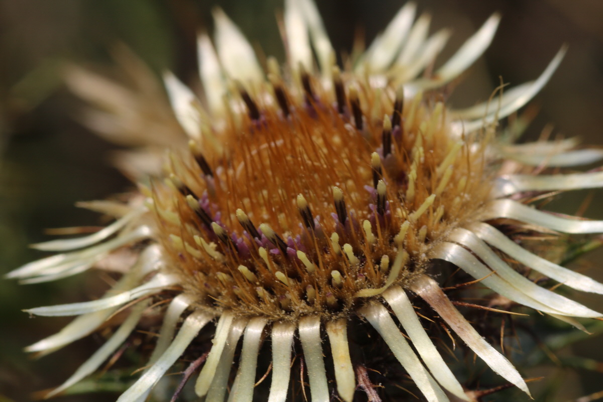 IMG-2015-08-10-00007502_Bildgr��e �ndern