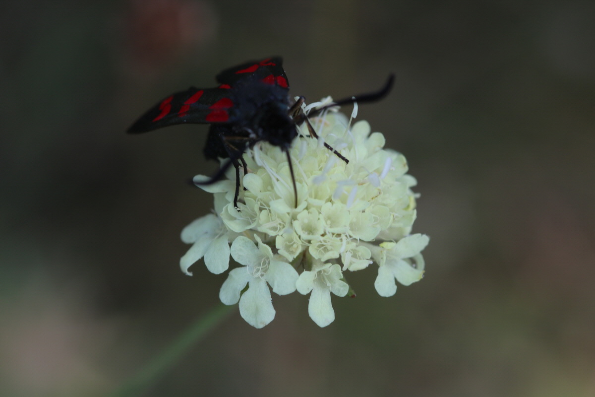 IMG-2015-08-10-00007507_Bildgr��e �ndern