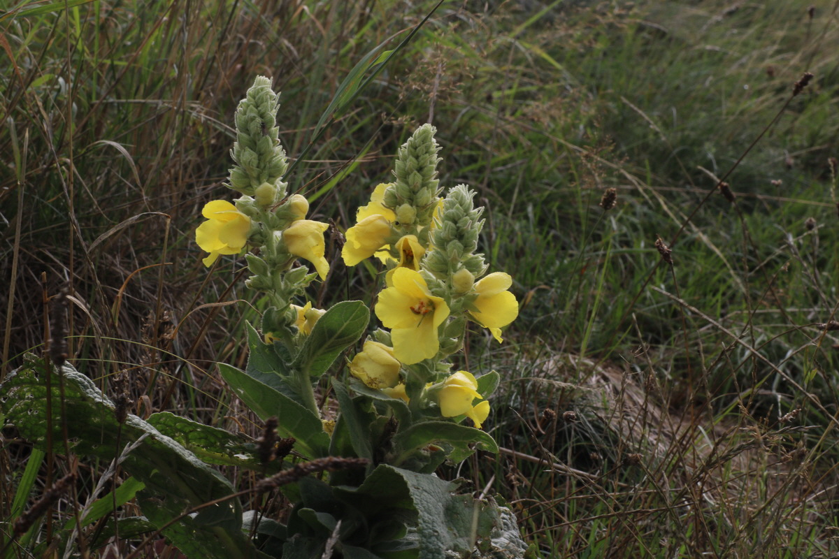 IMG-2015-08-19-00007520_Bildgr��e �ndern